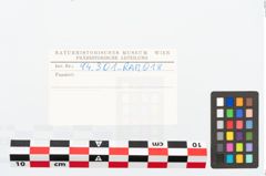 Etikett zu Eisenkonvolut (NHMW-PRAE-094301)